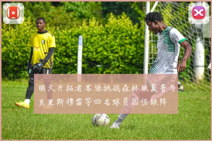 明天开拓者客场挑战森林狼夏普与克里斯穆雷等四名球员因伤缺阵