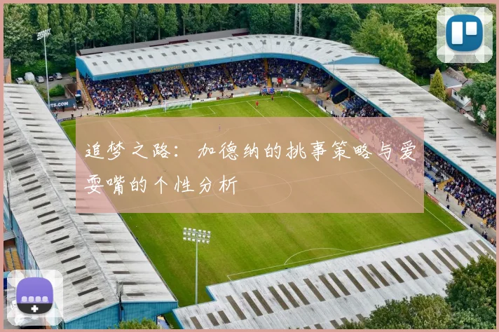 追梦之路：加德纳的挑事策略与爱耍嘴的个性分析